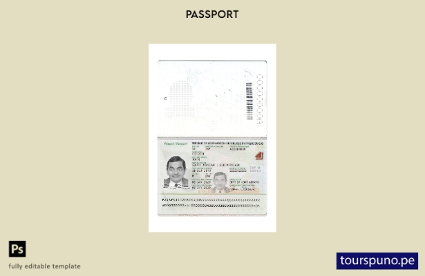 Listo para imprimir la plantilla actual del pasaporte de Sudáfrica
